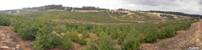 Panorámakép a bánya helyéről